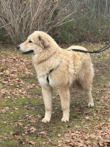 Mela -  auf einer Müllhalde gefunden