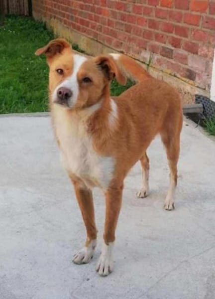 CALISSY möchte noch so viel lernen....