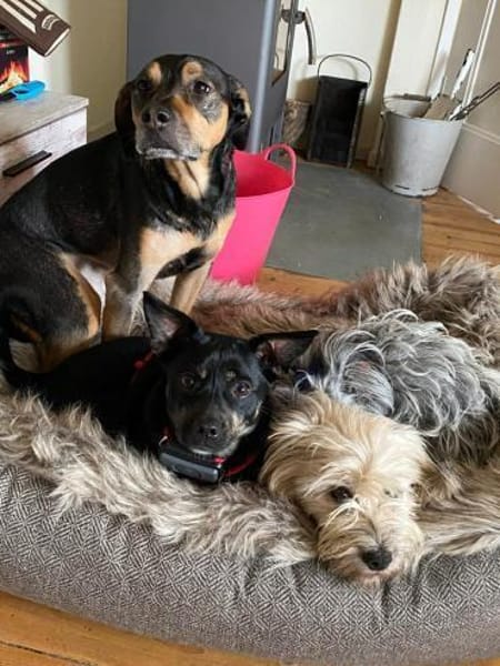 Snuggle - ist selbstbewusst