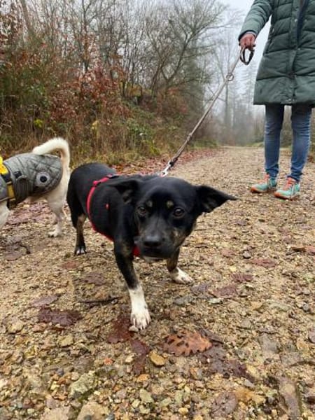 Snuggle - ist selbstbewusst