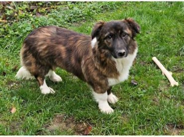 Malu - wartet 65779 Kelkheim