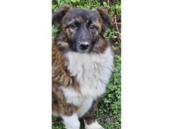 Malu - wartet 65779 Kelkheim