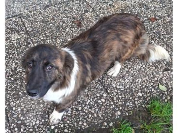 Malu - wartet 65779 Kelkheim