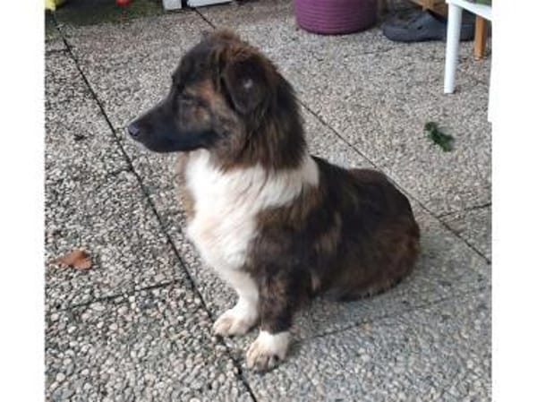 Malu - wartet 65779 Kelkheim