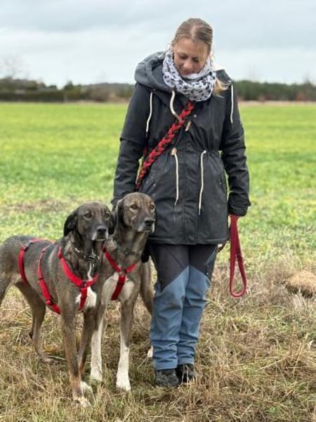 Dolores  große Hundedame mit viel ❤