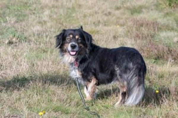 KARLI -menschenbezogene Frohnatur-