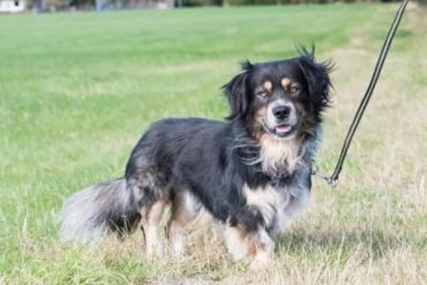 KARLI -menschenbezogene Frohnatur-