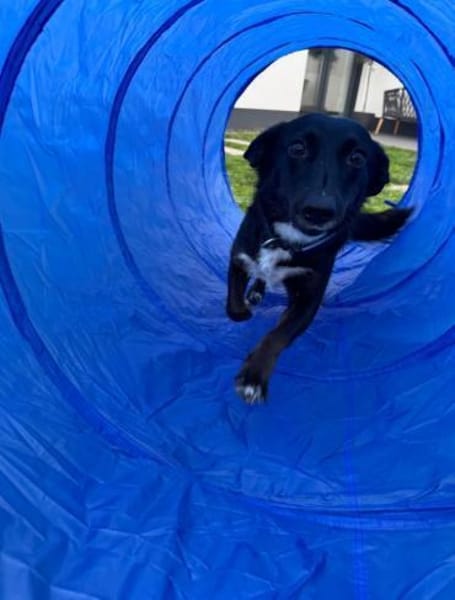 Aufgeschlossene Suna