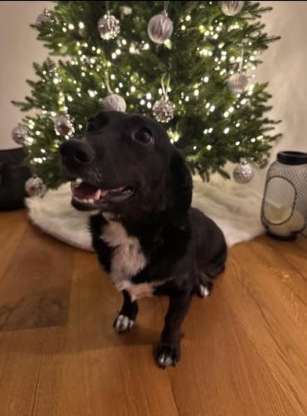 Aufgeschlossene Suna