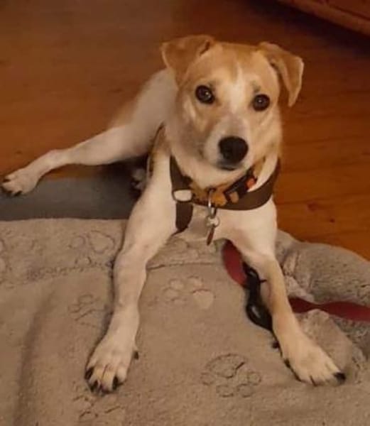 LOVELYN -sucht erfahrene Menschen-