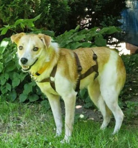 LOVELYN -sucht erfahrene Menschen-