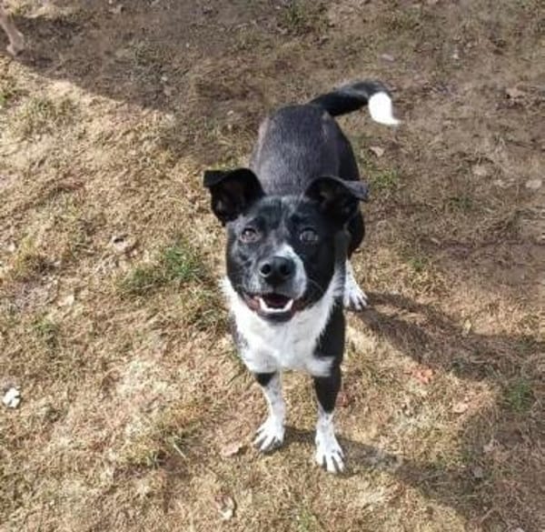 JONAH -sucht erfahrene Menschen-