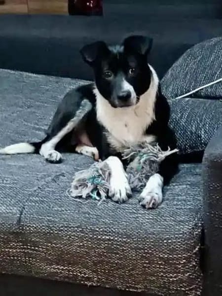 JONAH -sucht erfahrene Menschen-