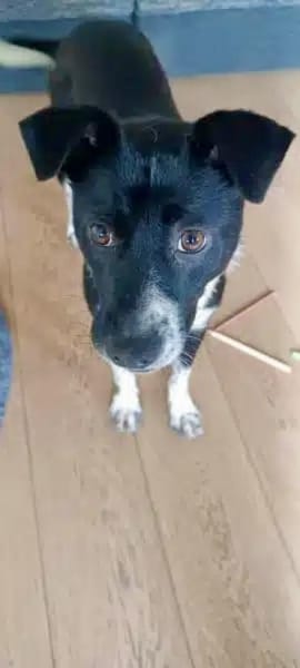 JONAH -sucht erfahrene Menschen-