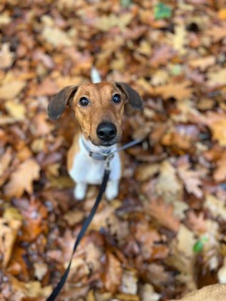 THEO WÜNSCHT SICH SEINE EIGENEN MENSCHEN