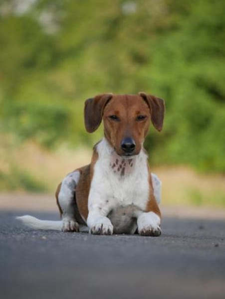 THEO WÜNSCHT SICH SEINE EIGENEN MENSCHEN