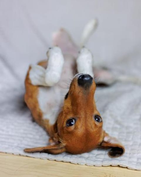 THEO WÜNSCHT SICH SEINE EIGENEN MENSCHEN