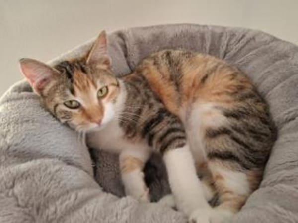 Jade - soooo süß, seht selbst > Video