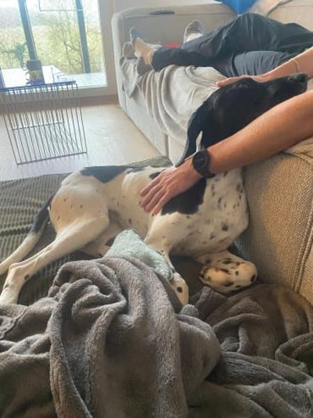 Sofia - in Pflege in Deutschland