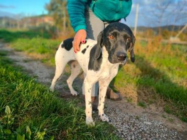 Sofia - in Pflege in Deutschland