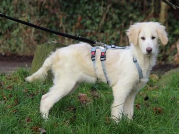 Taylor sucht ihre Menschen