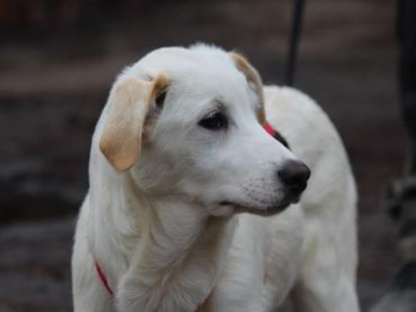 Tabu sucht ihre Familie