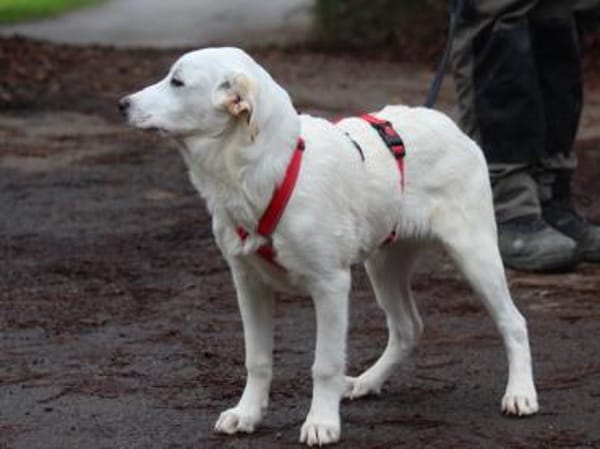 Tabu sucht ihre Familie