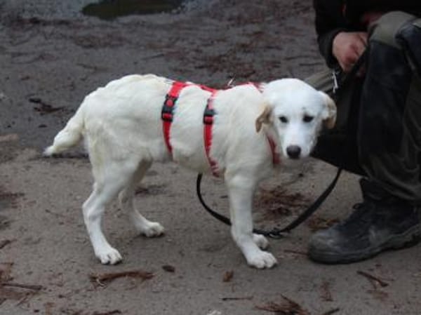 Tabu sucht ihre Familie