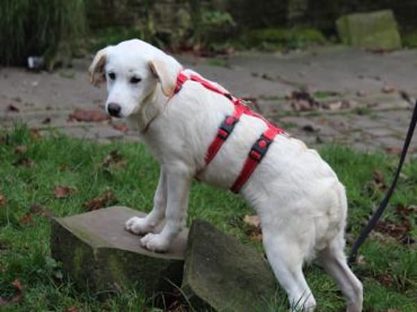 Tabu sucht ihre Familie