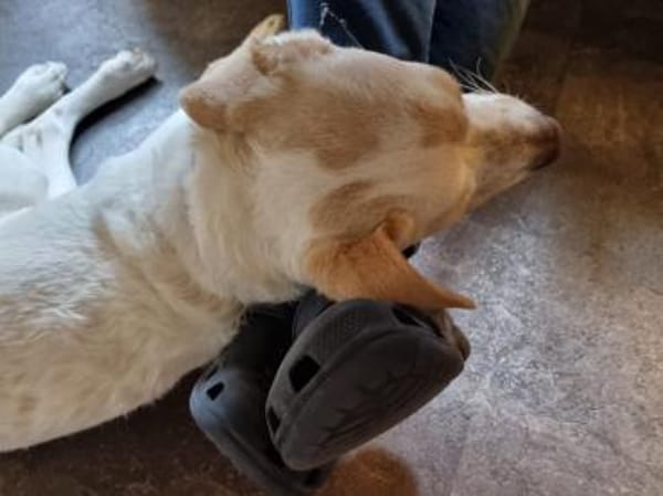 Sophie wünscht sich ein besseres Leben