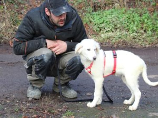 Möchten Sie Tanit bei sich aufnehmen?