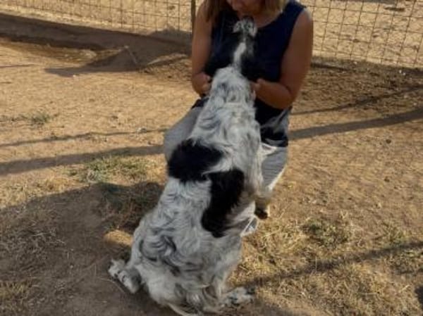 Sten wünscht sich Zuwendung