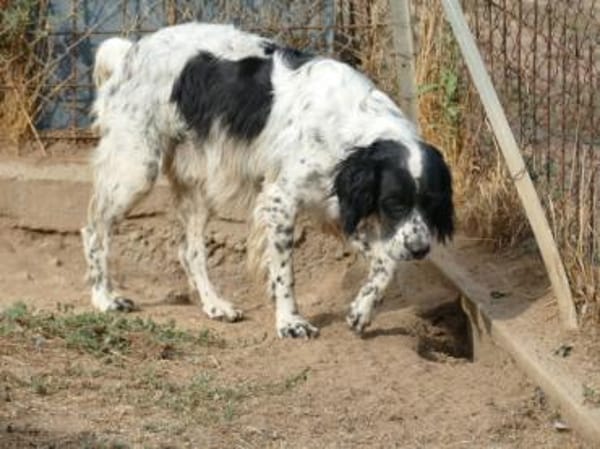 Sten wünscht sich Zuwendung