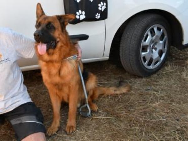 Red möchte seine Familie finden