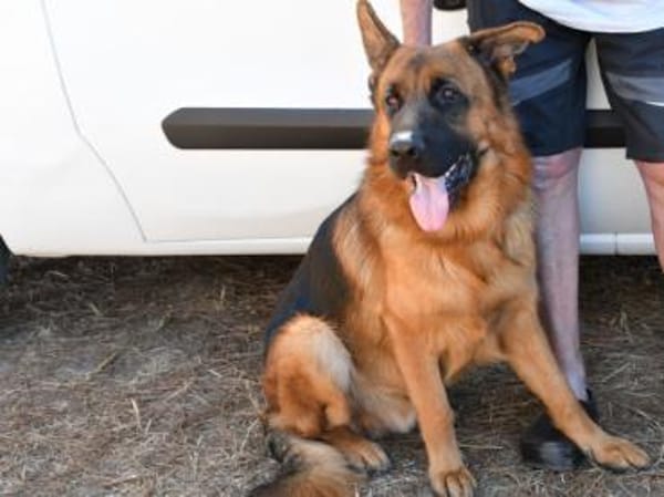 Red möchte seine Familie finden