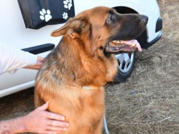 Red möchte seine Familie finden