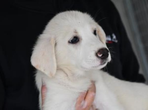 Möchten Sie Tokyo zu sich holen?