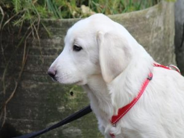 Tau möchte endlich ankommen