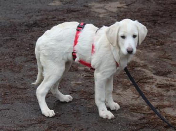 Tau möchte endlich ankommen