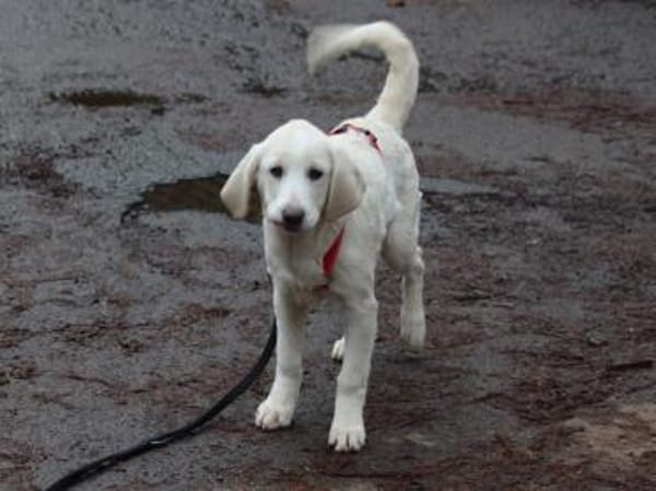 Tau möchte endlich ankommen