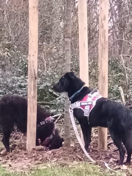 Tikva - liebt es ruhig