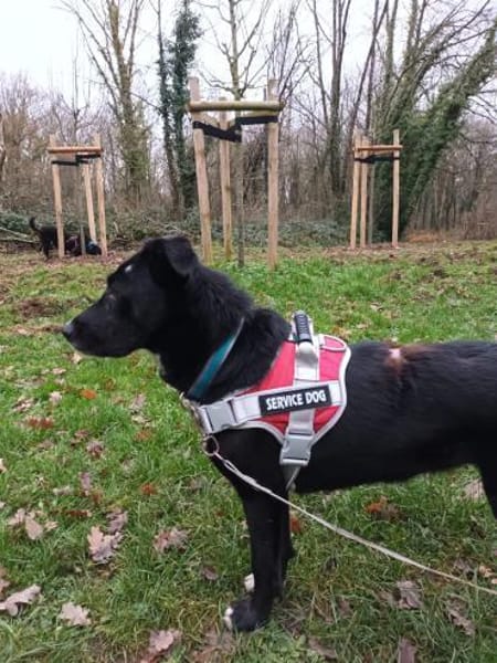 Tikva - liebt es ruhig