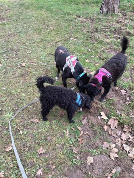 Tikva - liebt es ruhig