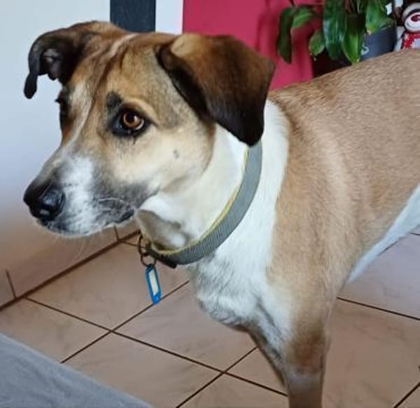 Beautiful Lisa sucht ihre Menschen