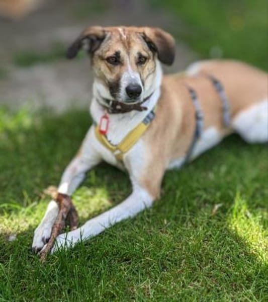 Beautiful Lisa sucht ihre Menschen