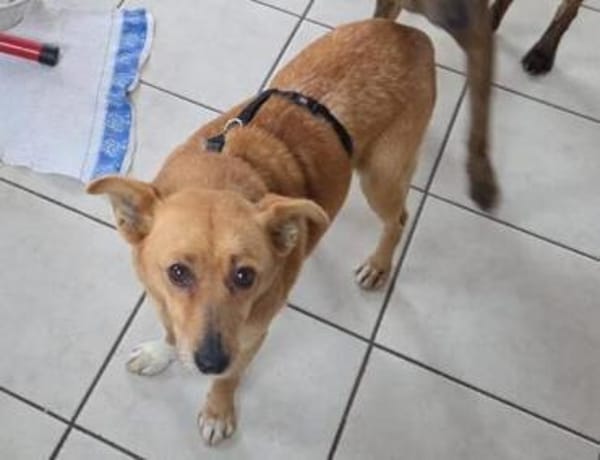 RHIANNA ist zauberhaft