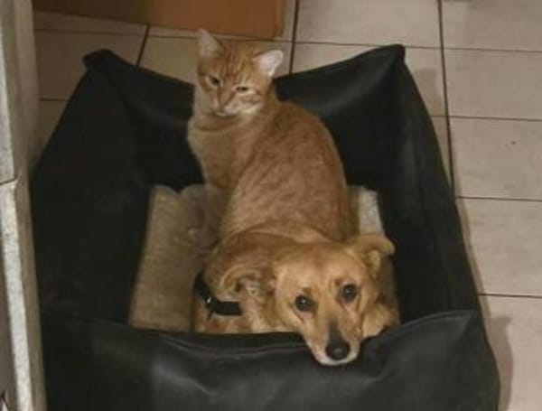 RHIANNA ist zauberhaft