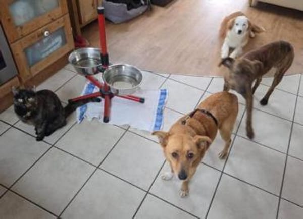 RHIANNA ist zauberhaft