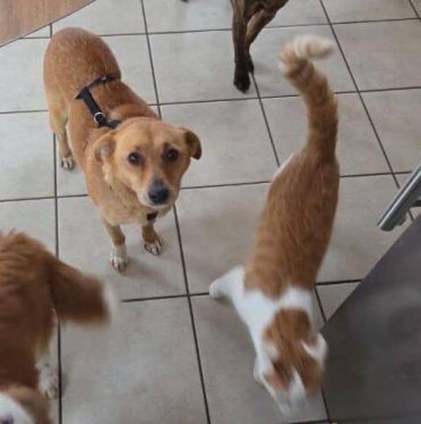 RHIANNA ist zauberhaft