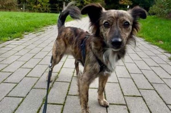 Sabina - wartet in 44799 Bochum